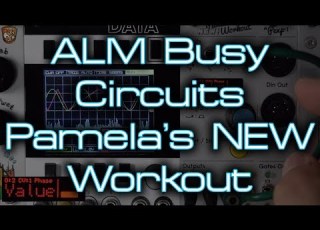 ALM Busy Circuits Pamela S NEW Workout