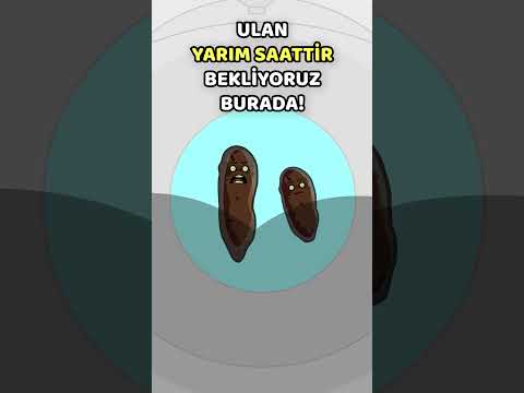 Tuvalete Telefonla Girdikten Sonra