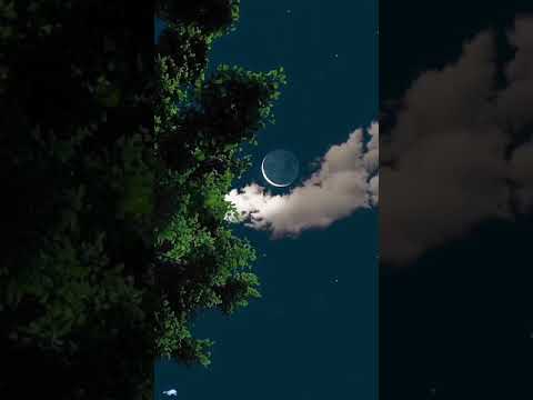 INSTAGRAM VIRAL REEL Short