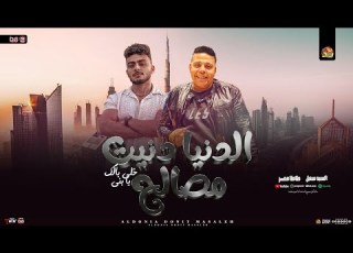 الدنيا دنيت مصالح الدنيا قلبت عليا سيد سنبل طاطا مصر تريند التيك توك شعبي جديد 2026