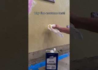  DIY BASICS Latex Or Oil Based Paint