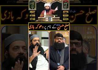  Sulah E Hasan Ki Definition By Engineer Mohamad Ali Mirza