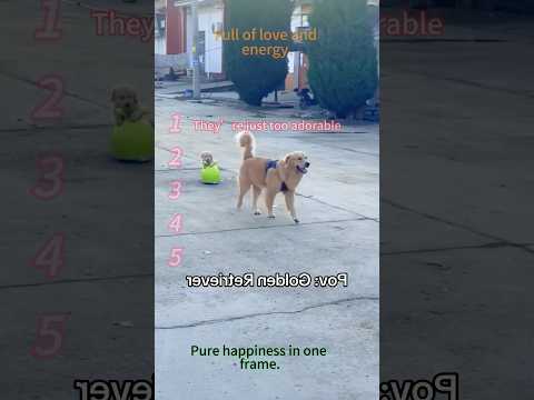 Mit Ihnen Ist Das Leben Besser