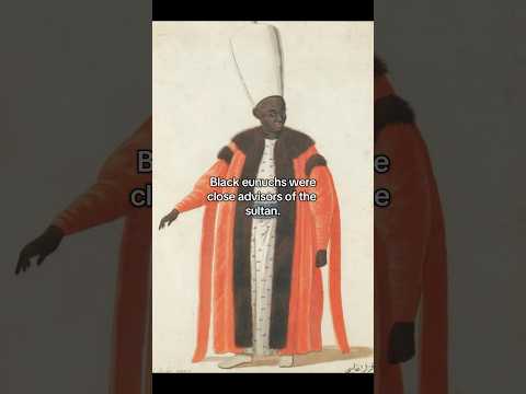 The Role Of Black Eunuchs In The Ottoman Empire History Art