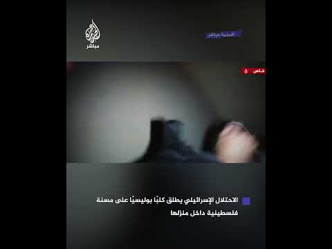 لقطات مسربة كلب بوليسي أثناء مهاجمته مس نة فلسطينية في منزلها