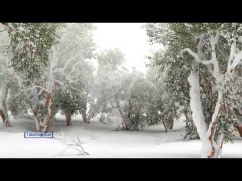 Paul Mauriat Tombe La Neige TatianaBlue