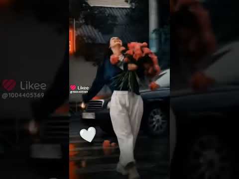 كل الصفات الجميله