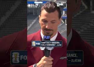 Another Golden Zlatan Ibrahimović Quote