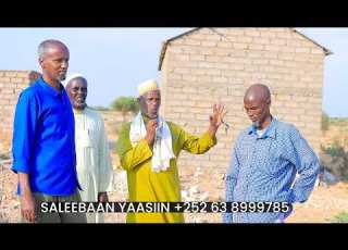  Gabadhii Geedka Lagu Ilaaaway Guri Baan Dhisanaa Haka Hadhin
