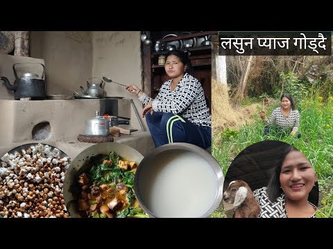 LASUN GODDAI MAKAI KO KHAJA Villagelife 1 12 2082