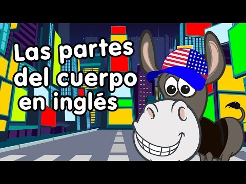 Partes Del Cuerpo En Inglés Canciones Infantiles Doremila