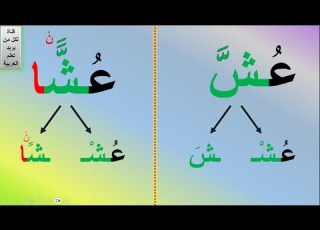  الشدة مع التنوين بالفتح تنوين الفتح مع الشدة قراءة التنوين بالفتح مع الشدة التنوين مع الشدة