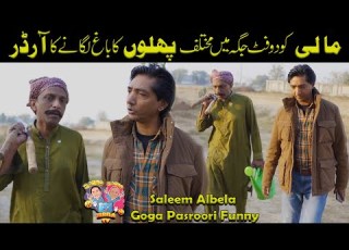 Order To Plant A Garden In A Two Foot Space Saleem Albela Goga Pasroori