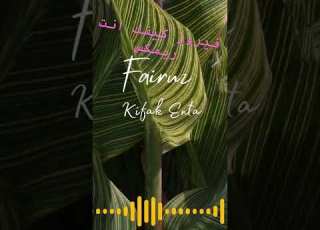  كيفك إنت فيروز شورت Music Shorts Short Fairuz Song