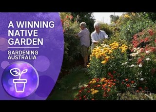  A Prize Winning Native Garden