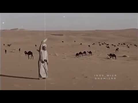 محلى الوصل فالهوى ظبي الفياح مهدي الحارثي