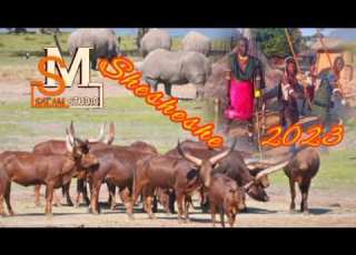  Shesheshe Malale Halus Kwa Masanja Zengo 30 08 2023 0769829235