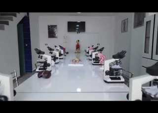 الجامعة السورية للعلوم والتكنولوجيا Syrian University For Science Technology