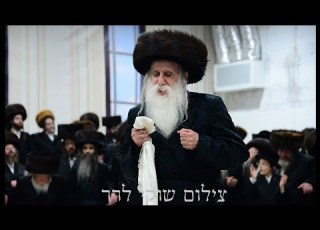 מצווה טאנץ במחנובקא בעלזא