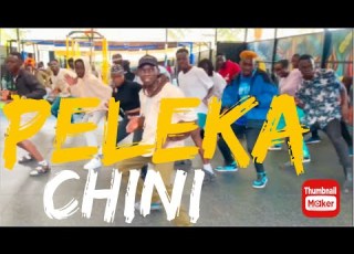  BREEDER LW X MAANDY PELEKA CHINI OFFICIAL DANCE