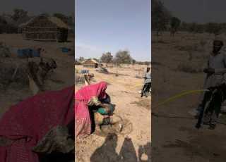 مشهد لوعاء عالق في ذيل الجمل وسقوط الماء منه
