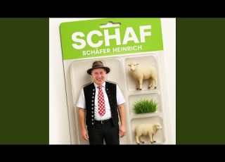  Schaf