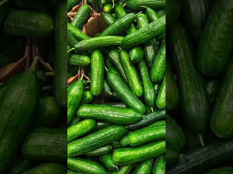 لهذه الدرجة انا احب الخيار