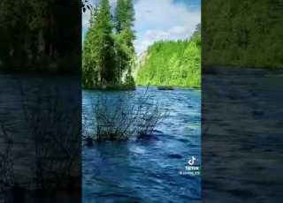  ياذاكرة الاصحابي