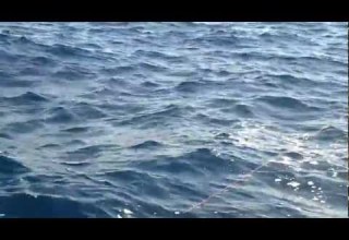 الحسبو وائل صيد زينوب مجرور