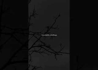  Armada Apa Kabar Sayang Lyrics Music Viral Tiktokviral Lyrics Armada Apakabarsayang