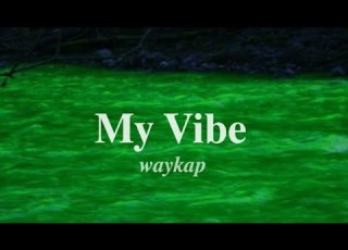 My Vibe Waykap Lyrics Video Hey Stupid You Think I Want You Just Because I Am A Woman