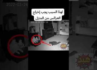  لهذا السبب يجب إخراج العرائس من المنزل رعب حقيقي في المنزل ليلا Paranormal هبد مرعب Ghost
