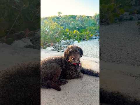 You Found Me Letstravel