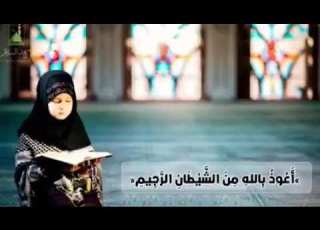 سورة القلم الشيخ البراء عبد الهادي