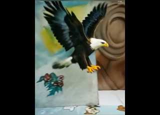  رسم صقر الوان سوف بستيل Shorts