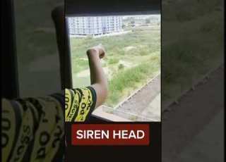 Shorts Serenhead Seren