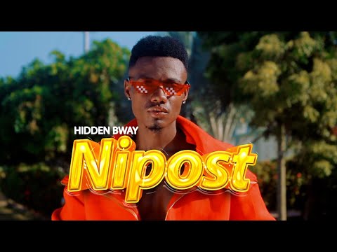 Hiddenbway Nipost Visualizer