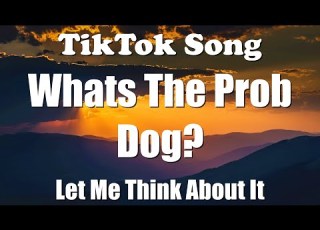  Whats The Prob Dog Let Me Think About It Lyrics TikTok Song