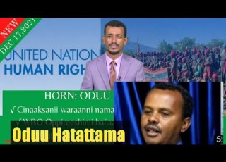  Oduu Hatattama OMN Gabaasa Guyyaa Arraa Guutu Oduu Ittii Dhiyaadha