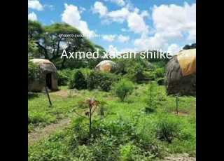 Dhaanto Cusub Oo Bilaa Music Ah Abwaan Axmed Xasan Shilke Xusuustii Miyiga