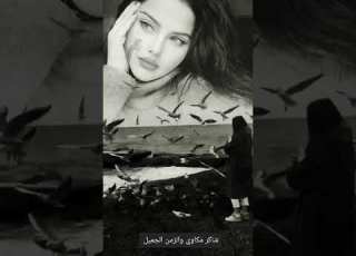 بحر ابوجريشة مالوا لو حبيته