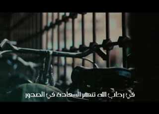 أحلى شعور