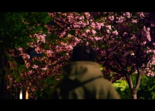  Billy Woods Born Alone OFFICIAL VIDEO