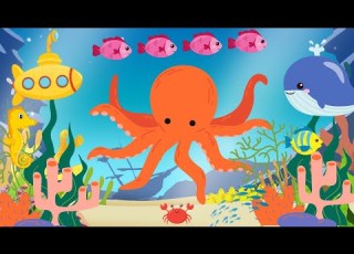 Ocean Melody A Baby Sensory Video With Visual Stimulation And Brain Development High Contrast