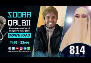 RNH 814 July 10 2023 Soora Qalbii