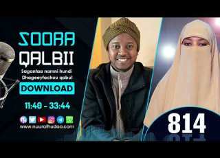 RNH 814 July 10 2023 Soora Qalbii