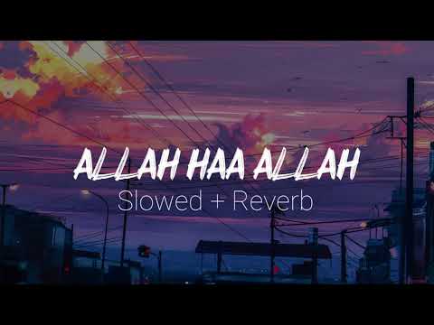 Malana Maulan Siwallah SLOWED REVERB Acoustic