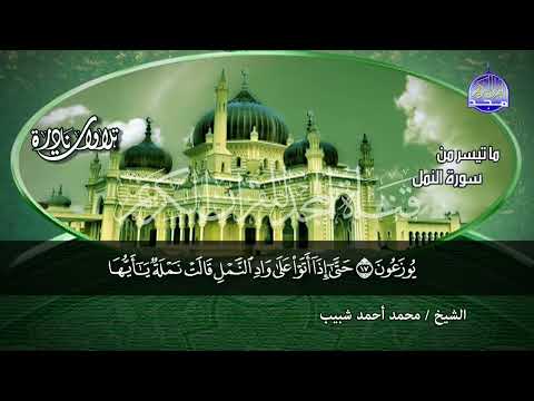 سوره النمل كامله بدون اعلانات الشيخ محمد أحمد شبيب سوره النمل كامله بدون اعلانات الشيخ محمد أحمد شبيب