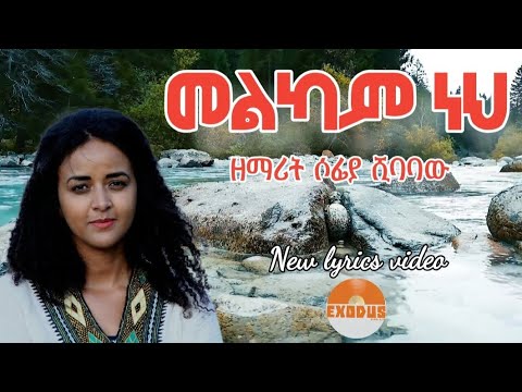 ዘማሪት ሶፊያ ሺባባው መልካም ነህ SINGER SOFIA SHIBABAW MELKAM NEH Amazing Gospel Song Lyrics Video