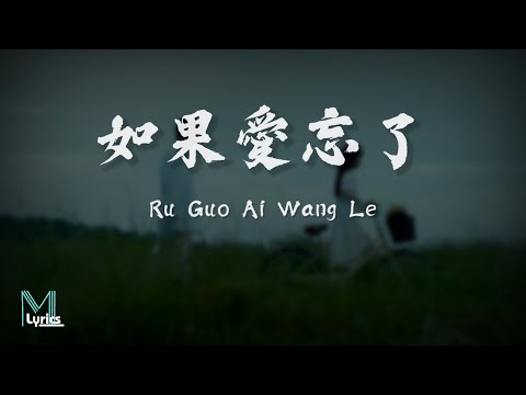 Wang Su Long 汪蘇瀧 Dan Yi Chun 單依純 Ru Guo Ai Wang Le 如果愛忘了 Lyrics 歌词 Pinyin 動態歌詞